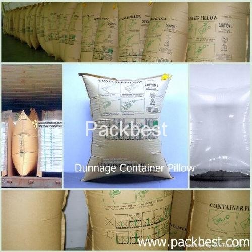 Container Filling Air Dunnage Bag in Transportation 5