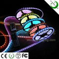 SMD5050 LED strip light  2