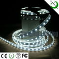 SMD5050 LED strip light  3