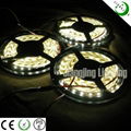 SMD3528 led strip light 4