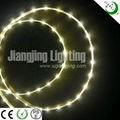 SMD335 led strip light 5