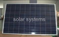 solar panels of poly