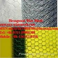 Hexagonal Wire Mesh  1