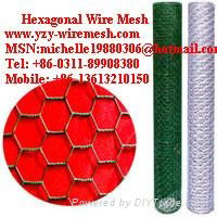 Hexagonal Wire Mesh  2