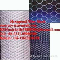 Hexagonal Wire Mesh  3