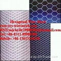 Hexagonal Wire Mesh  3