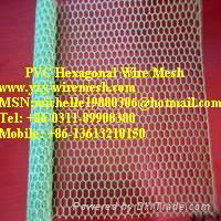 Hexagonal Wire Mesh  4