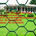 Hexagonal Wire Mesh  5