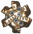 PDC drill bit