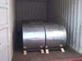 Galvanized steel coil 1