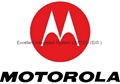 Sell FREESCALE-MOTOROLA all series