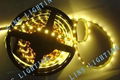 300LED24W5MSMD3528 Strip Light 3