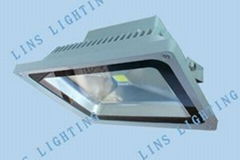 50W LED Floodlight