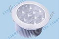 12W LED Downlight 2