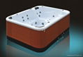 Whirlpool Outdoor Indoor Spa Massage Bathtub 5