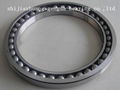 excavator bearing