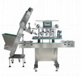 Auto Cap Feeding & Capping Machine