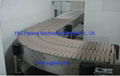 Chain Conveyor