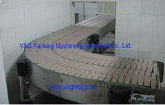 Chain Conveyor 