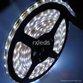 12V SMD3528 led flexible light with waterproof 2