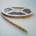 12V SMD3528 led flexible light with waterproof 3