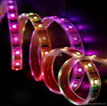 Magical color for 5050 led strip light waterproof for decor 3