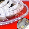 5050 silicon encased LED strip