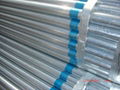 Galvanized Pipe 1