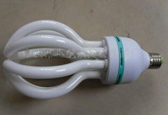 Lotus Energy Saving Lamps 