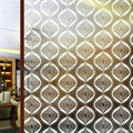 acid etched pattern glass 2