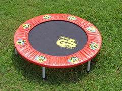 Mini Trampoline