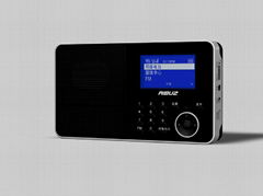 Protable internet radio