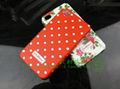 Iphone4g case  1