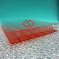 Double color polycarbonate hollow sheet- YUEMEI Latest Product 4