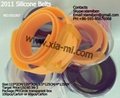 2011 fashion silicone rubber plastic belts 2