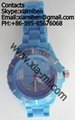 2011 popular Water Resistant Silicone Watches 5