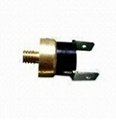 water heater thermal switch  1