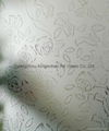 acid etched pattern glass 4