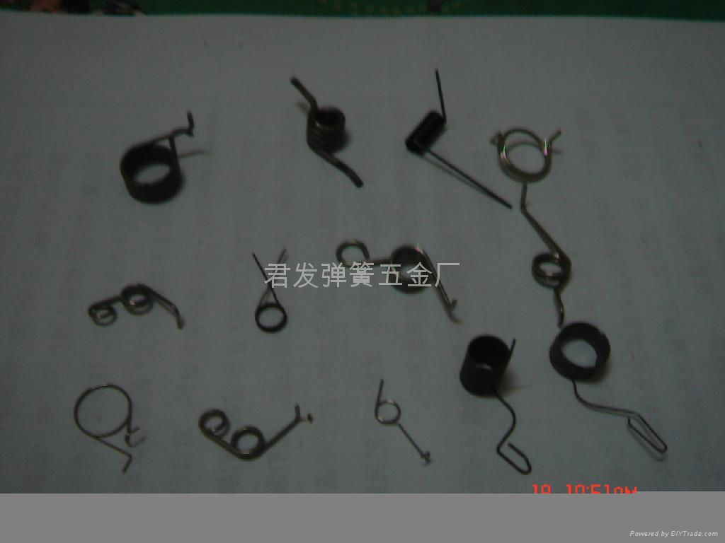 Torsion spring