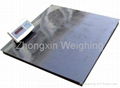 Stainless steel floor scale