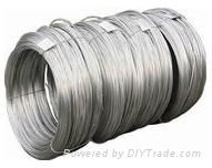 Titanium wire 3