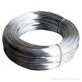 Titanium wire 5