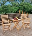 Wooden Outdoor Table and Chair