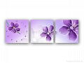 Flower Frameless Wall Clock  2