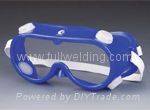 safety goggle