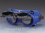 safety goggle 3