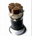 XLPE/PVC Insulated Power Cables 3