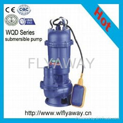 Domestic Sewage Garden Pump (WD/WQD) 