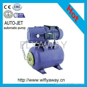 Automatic Booster  Domstic Pump 