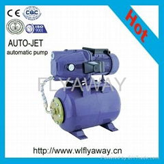 Automatic Booster  Domstic Pump 